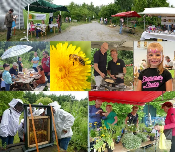 Leer bijen kennen op de open dag
