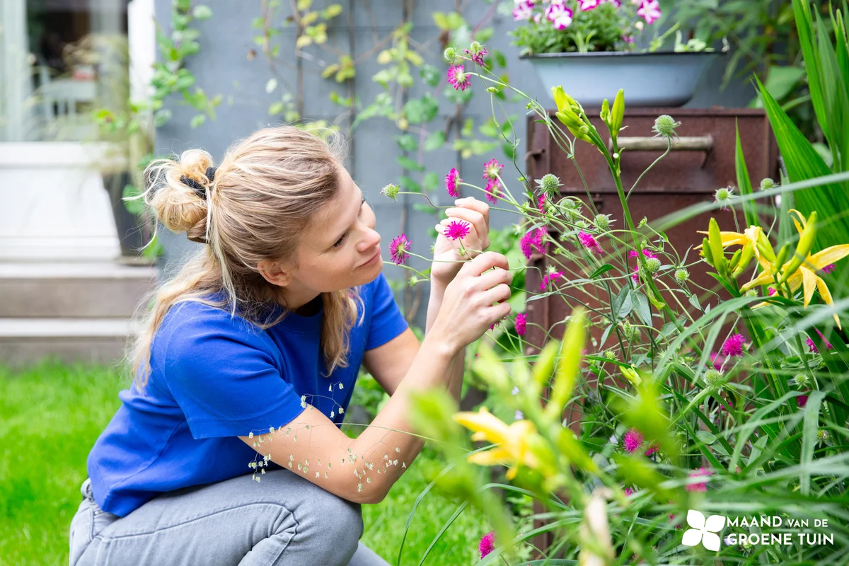 April: De maand van de groene tuin in Wickevoort