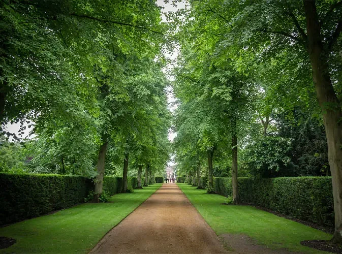 Woonveld Hoofdgebouw (huur)
